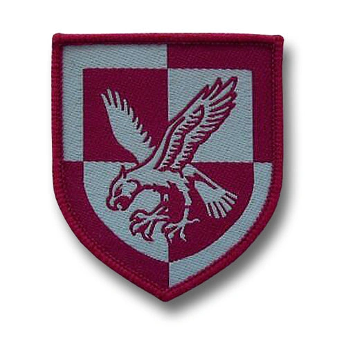 16 Air Assault Division: Airborne Badge - A Piece of History!